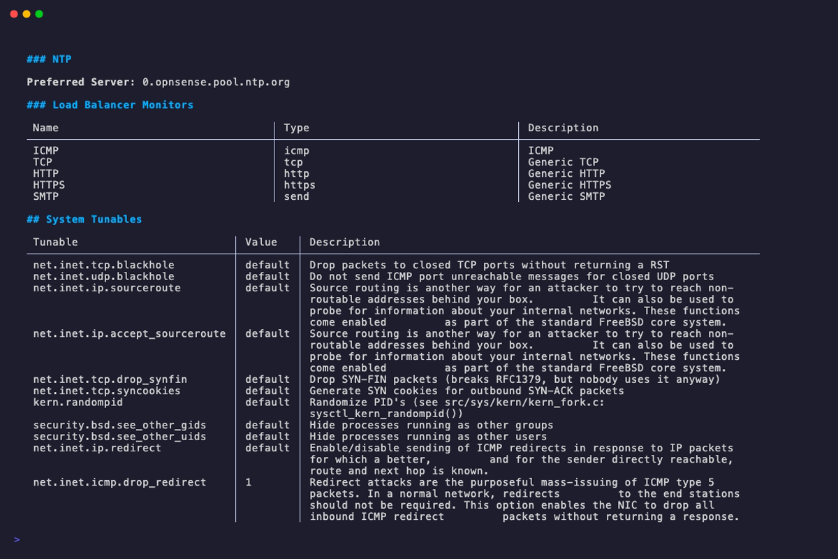 Screenshot of opnDossier display command showing glamour-rendered terminal output with system and network configuration